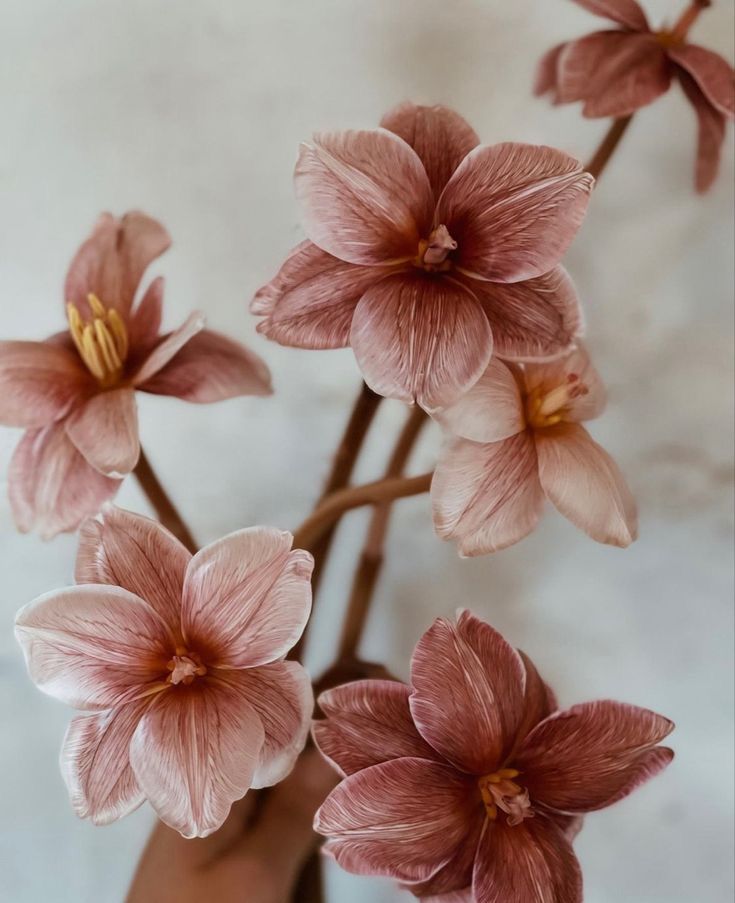 The Floral Edit